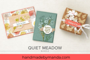 Bundle Focus – Quiet Meadow